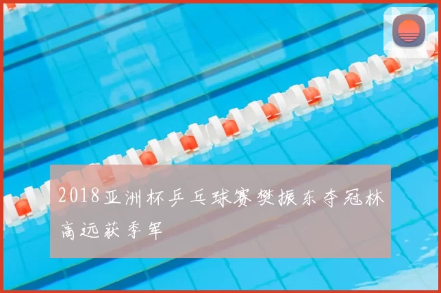 2018亚洲杯乒乓球赛樊振东夺冠林高远获季军