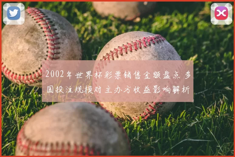 2002年世界杯彩票销售金额盘点 多国投注规模对主办方收益影响解析