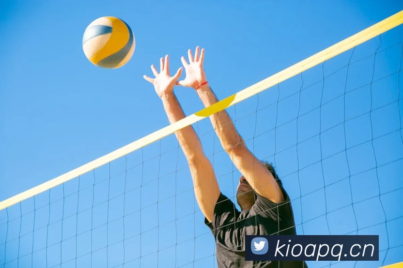 开云官方app下载站 - 开云(中国)平台生态图